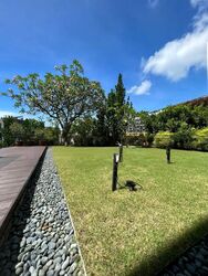 Cove Drive (D4), Detached #464388221